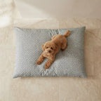 Cama para mascotas desenfundable antimanchas Monina Soft 10