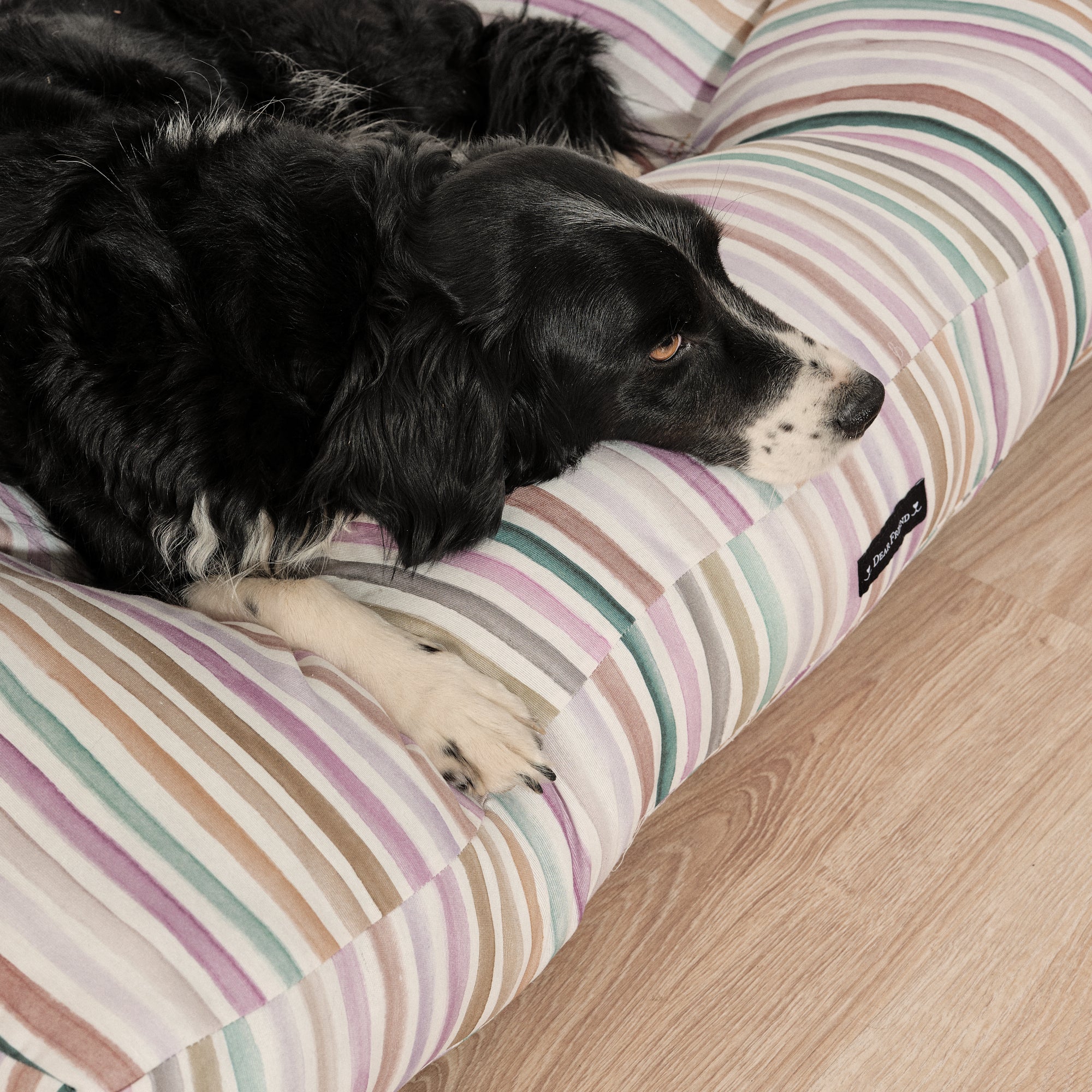 Cama para mascotas 100% algodón antimanchas Naiara 4-100