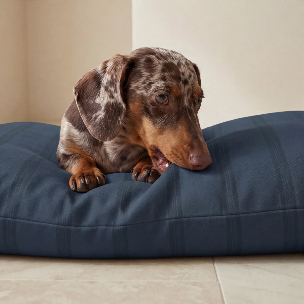 Cama para mascotas desenfundable antimanchas Nua