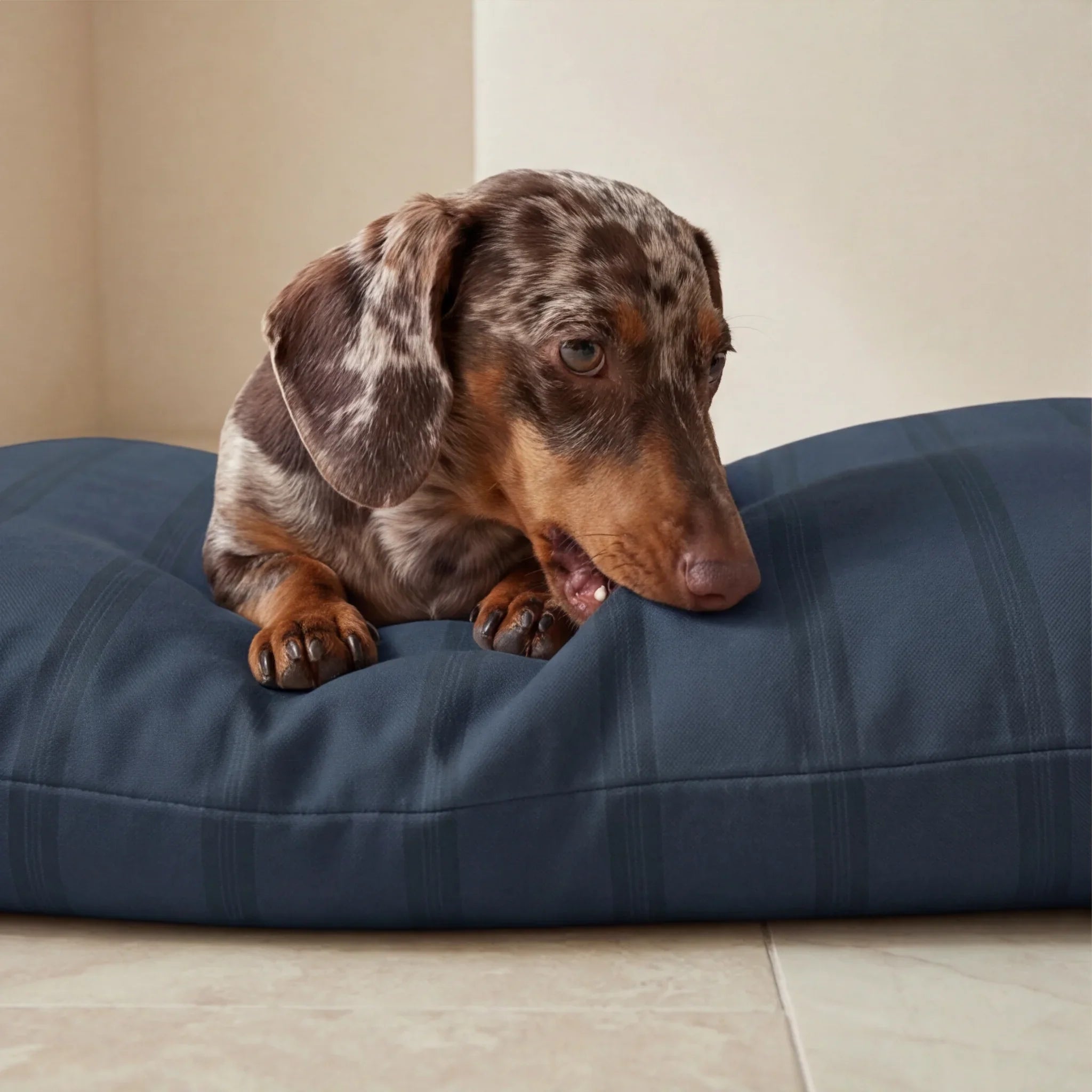 Cama para mascotas desenfundable antimanchas Nua