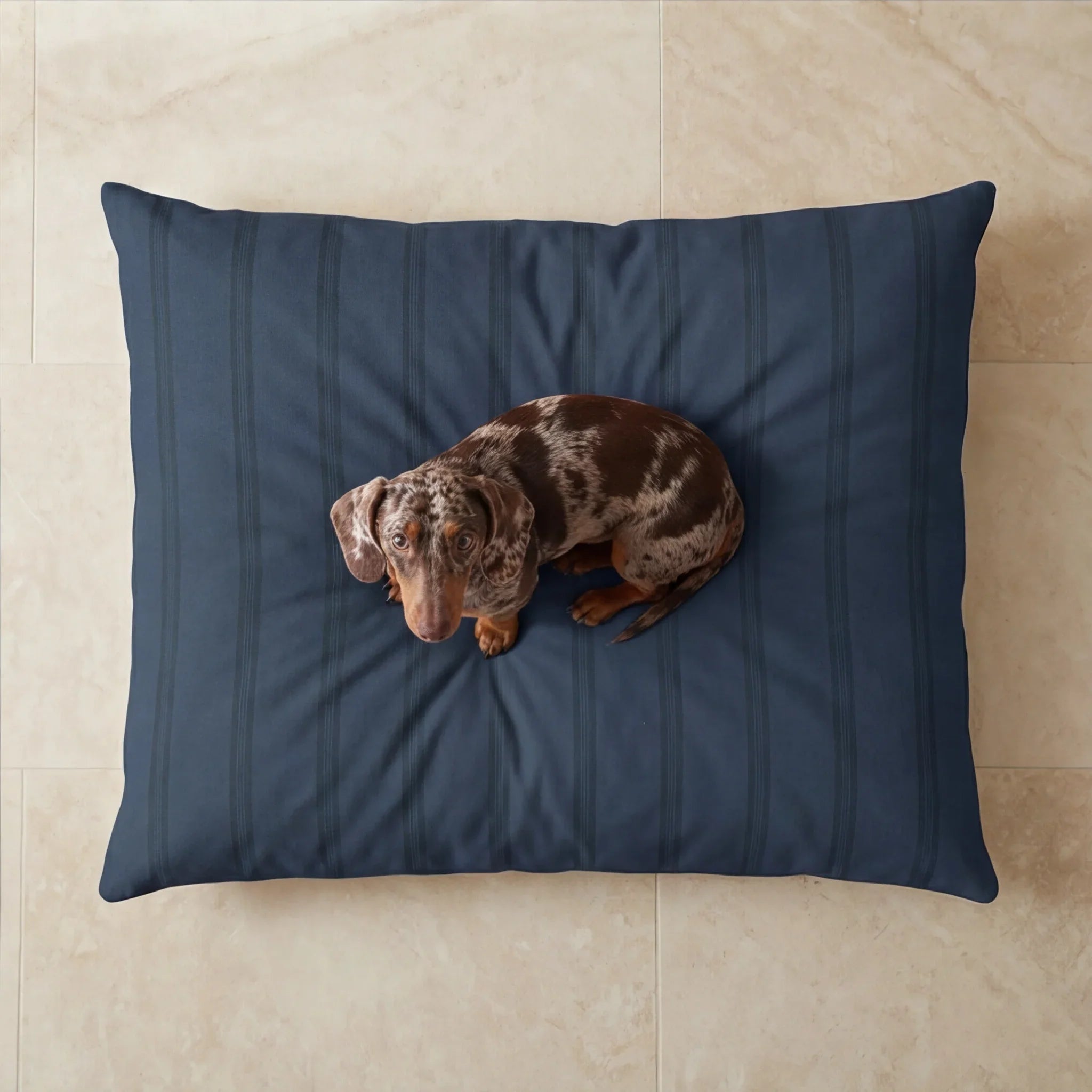 Cama para mascotas desenfundable antimanchas Nua