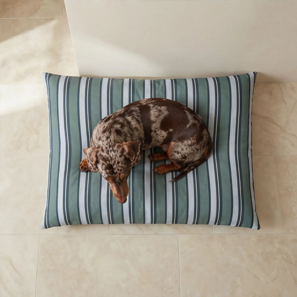 Cama para mascotas desenfundable antimanchas Orelis Balance