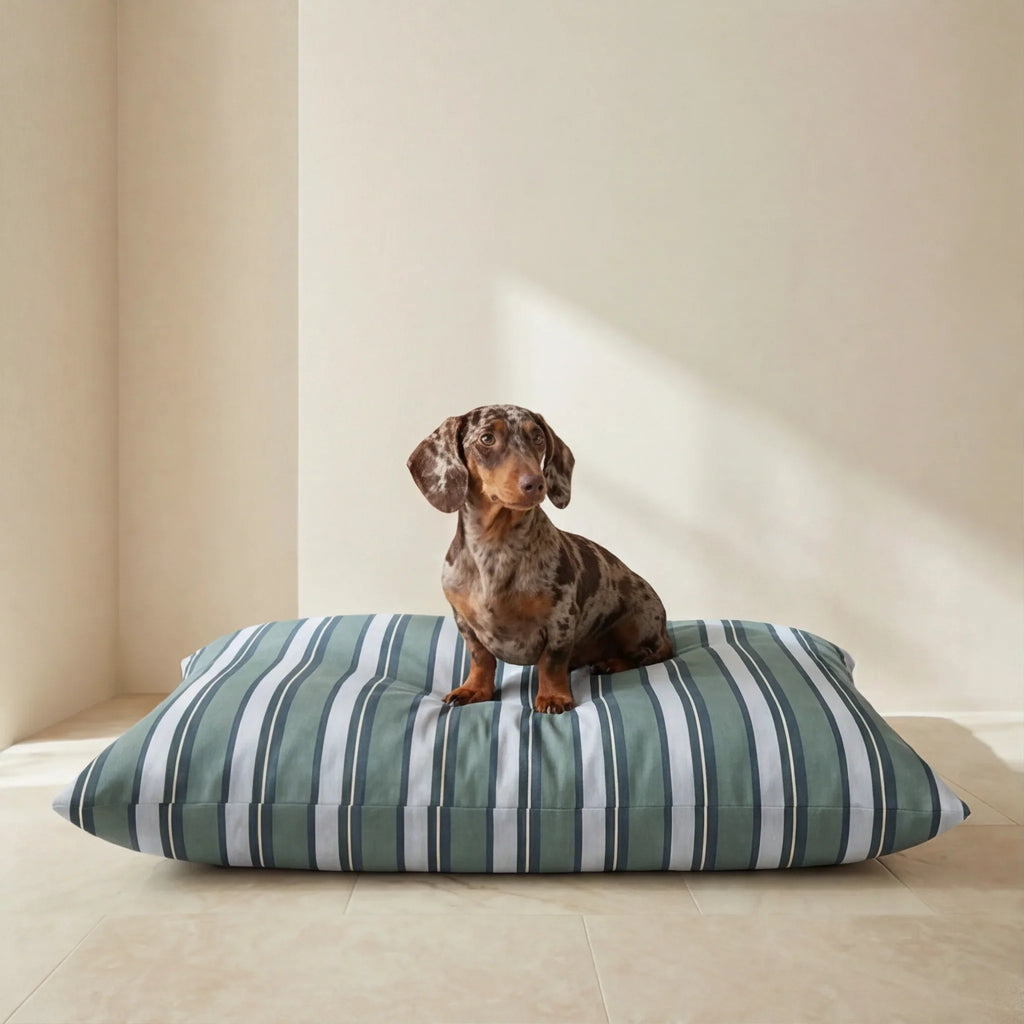 Cama para mascotas desenfundable antimanchas Orelis Balance