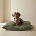 Cama para mascotas desenfundable antimanchas Pancho Green