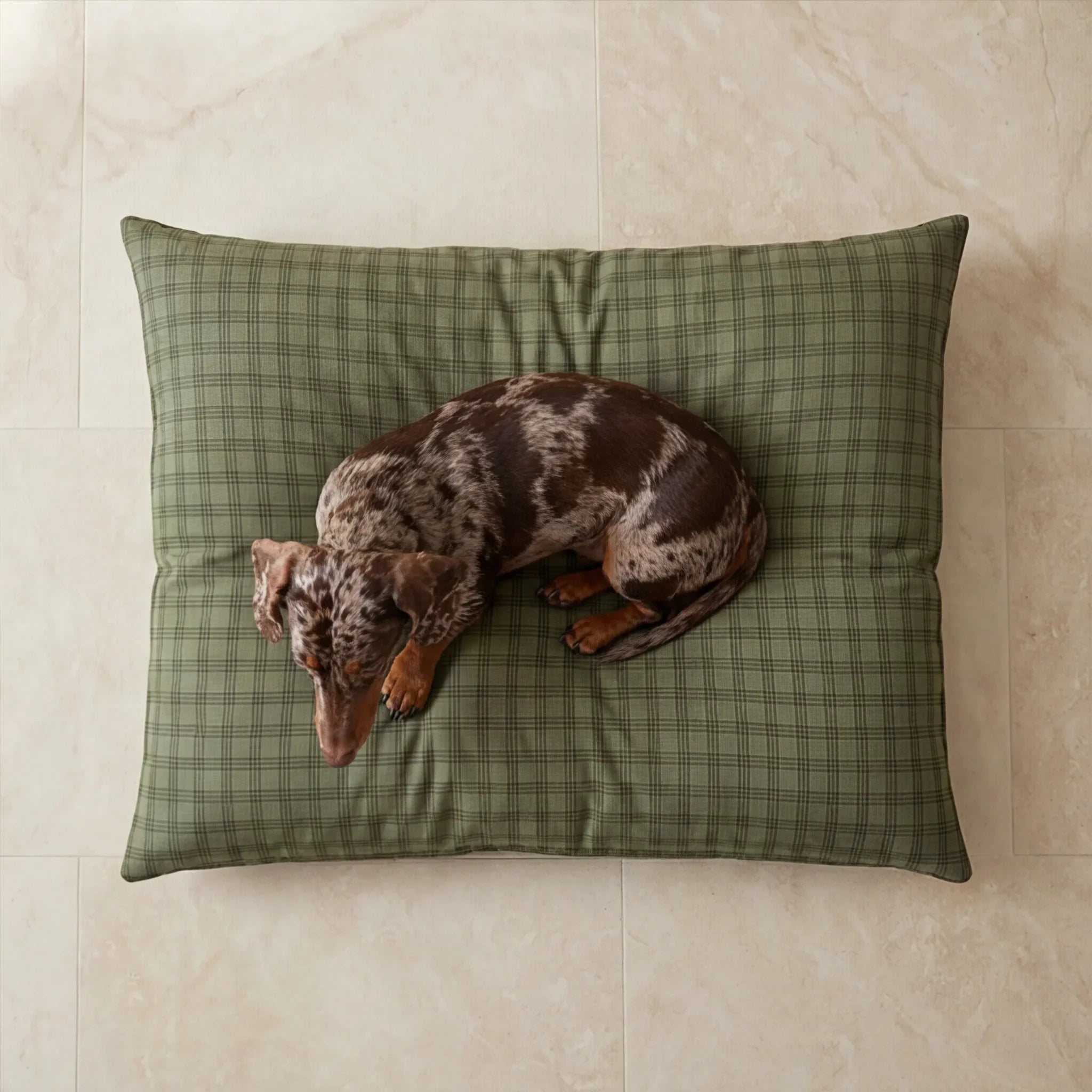 Funda para cama de mascota antimanchas Pancho Green