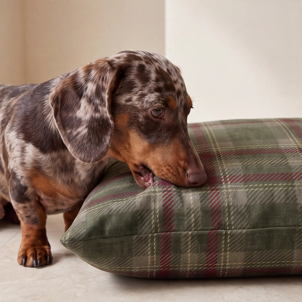 Cama para mascotas desenfundable antimanchas Roble