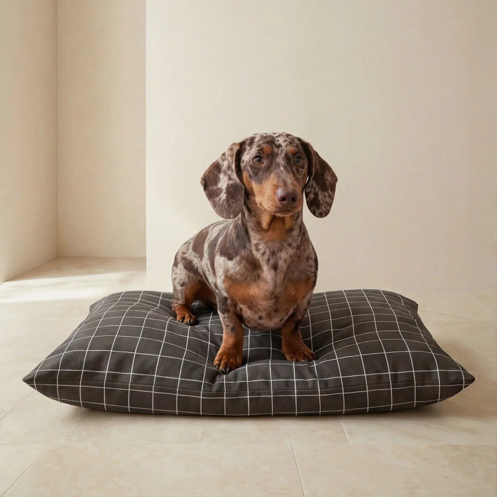Funda para cama de mascota antimanchas Pumba Marron