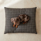 Cama para mascotas desenfundable antimanchas Pumba Marron