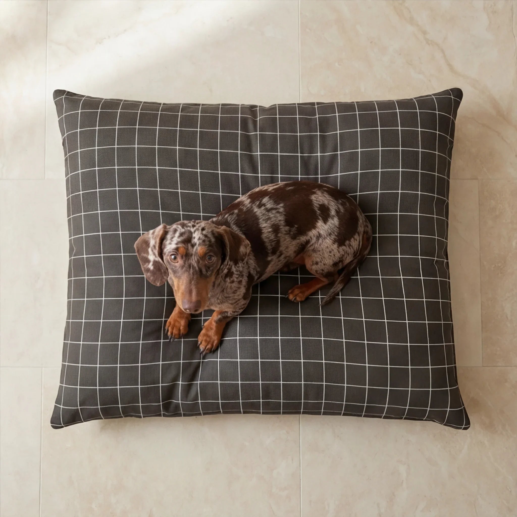 Cama para mascotas desenfundable antimanchas Pumba Marron