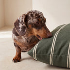 Cama para mascotas desenfundable antimanchas Renali Verde