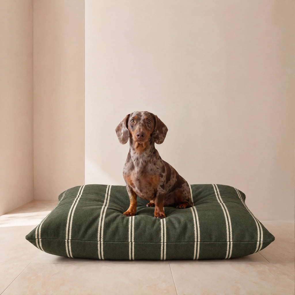 Cama para mascotas desenfundable antimanchas Renali Verde