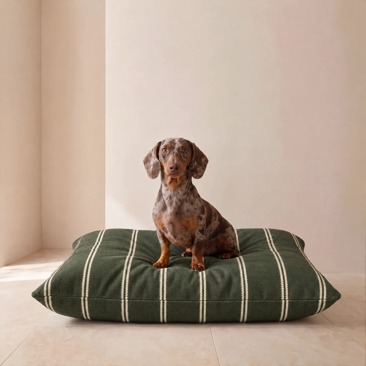 Cama para mascotas desenfundable antimanchas Renali Verde