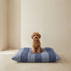 Cama para mascotas desenfundable antimanchas Romani Azul