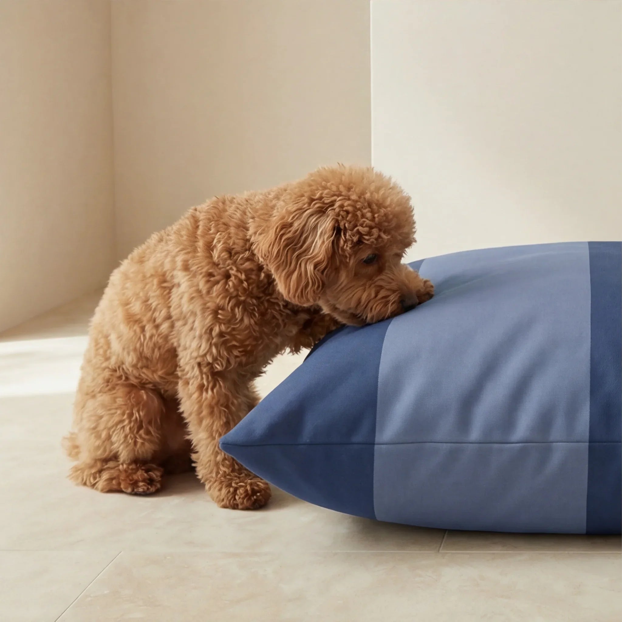 Cama para mascotas desenfundable antimanchas Romani Azul