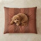 Cama para mascotas desenfundable antimanchas Romani Teja