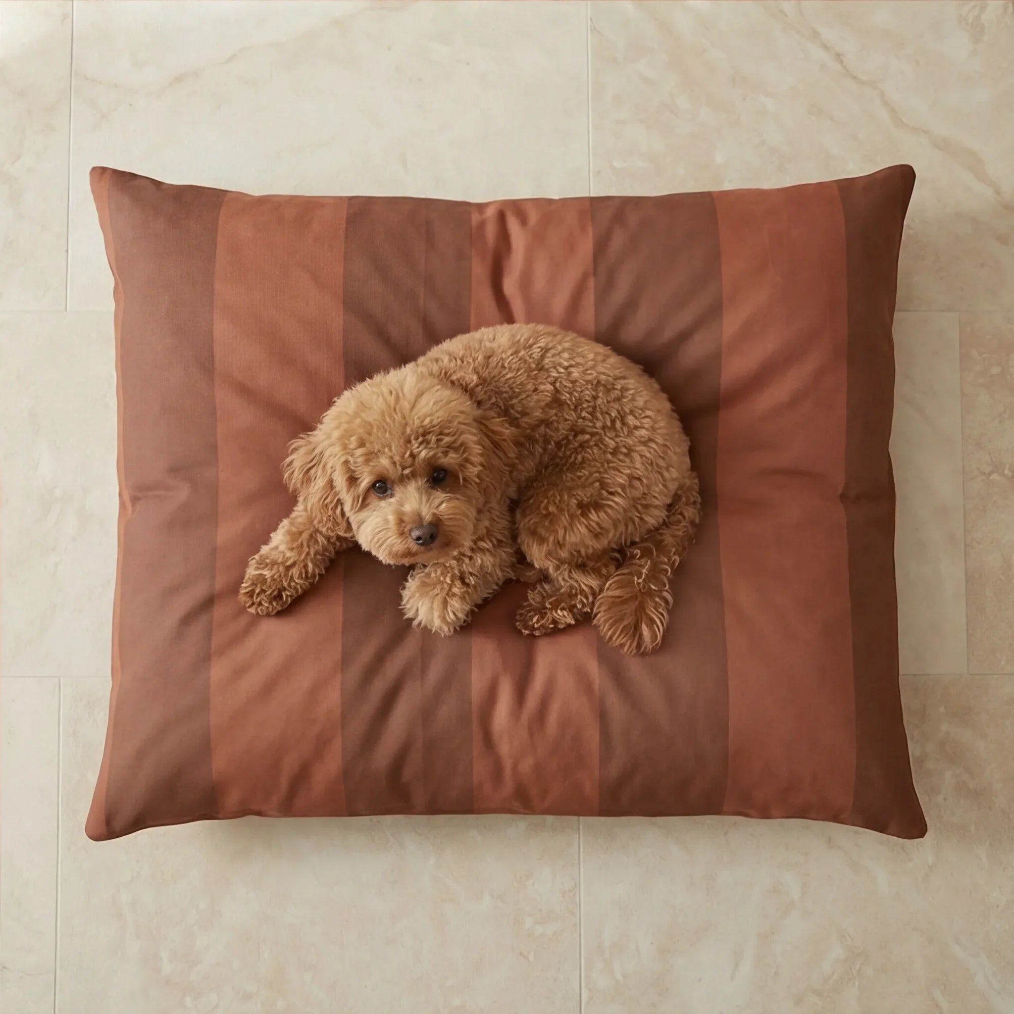 Cama para mascotas desenfundable antimanchas Romani Teja