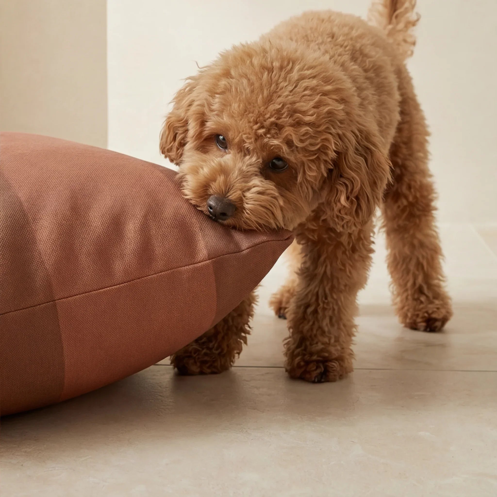 Cama para mascotas desenfundable antimanchas Romani Teja
