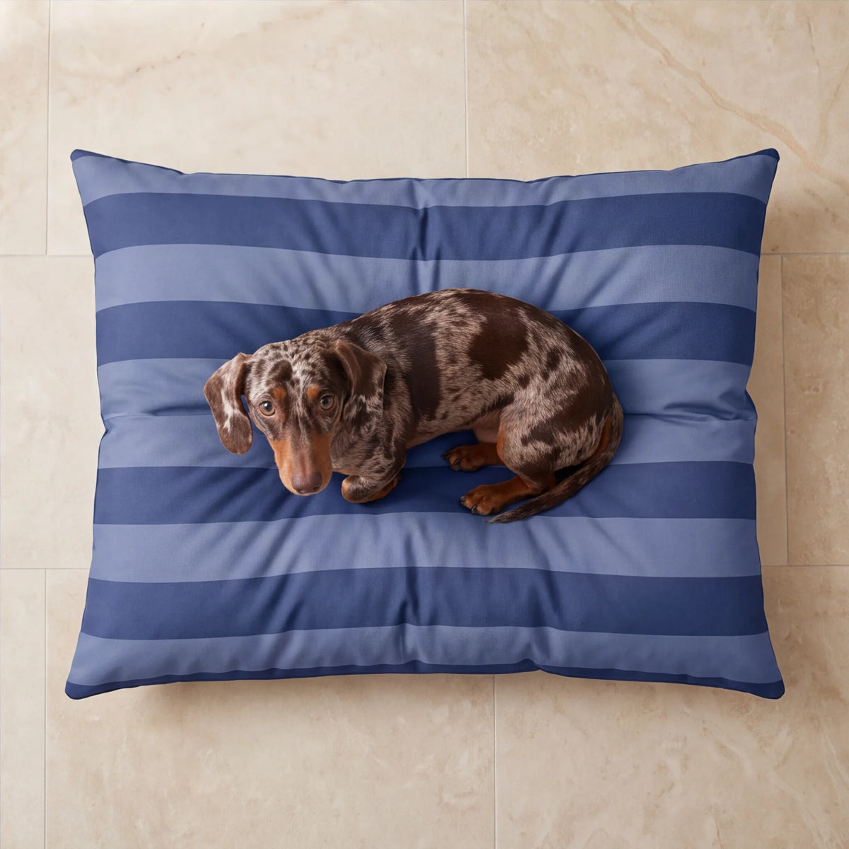Funda para cama de mascota antimanchas Romani Azul