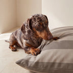 Funda para cama de mascota antimanchas Romani Marron