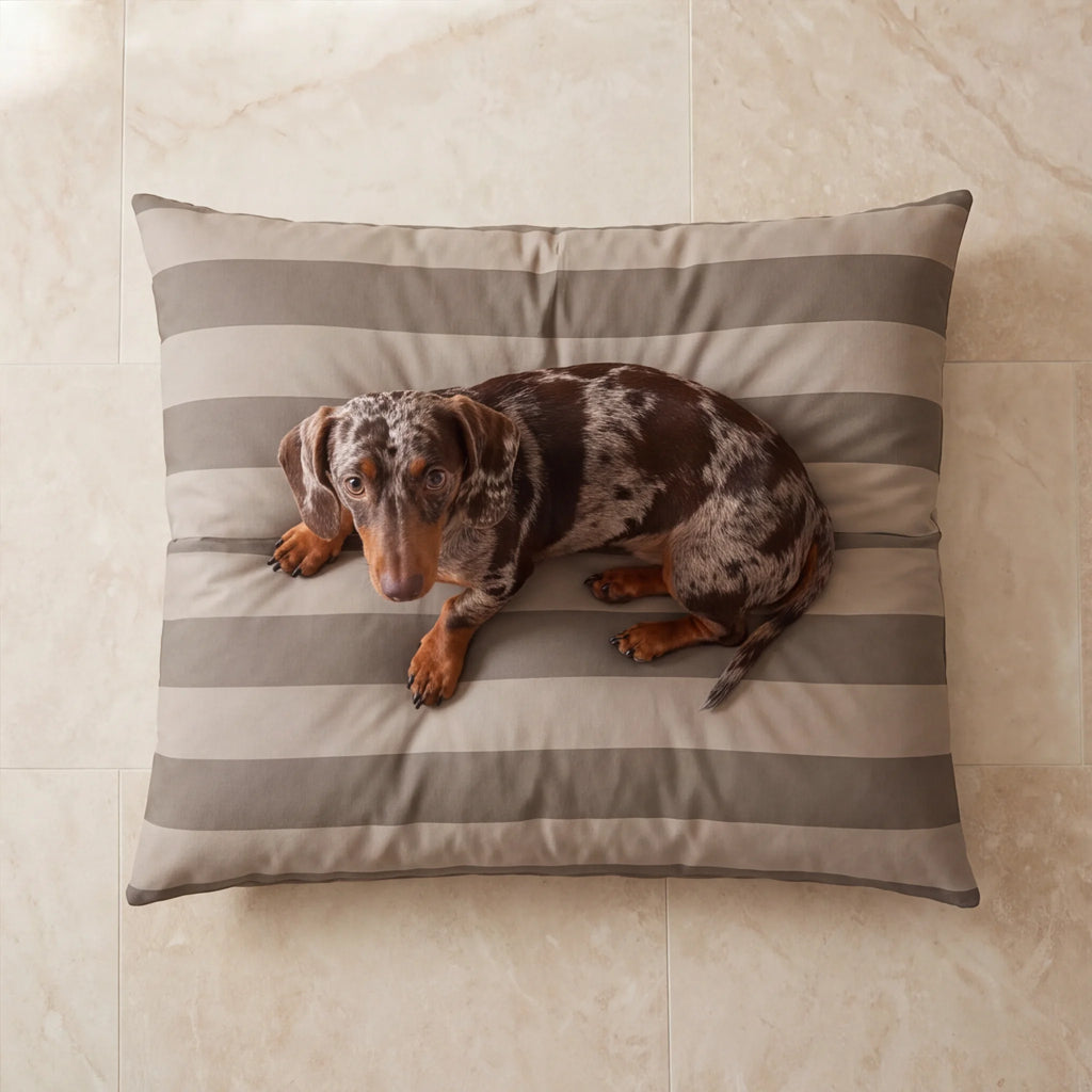 Cama para mascotas desenfundable antimanchas Romani Marron