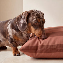 Funda para cama de mascota antimanchas Romani Teja