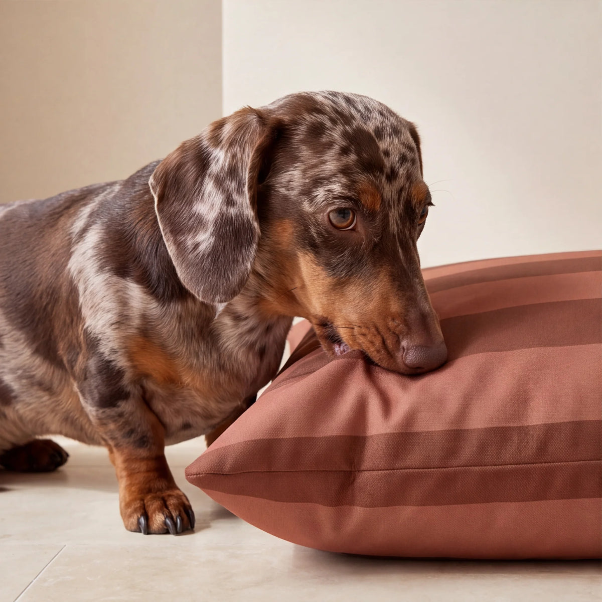 Funda para cama de mascota antimanchas Romani Teja