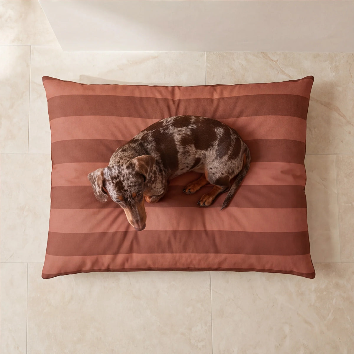 Cama para mascotas desenfundable antimanchas Romani Teja
