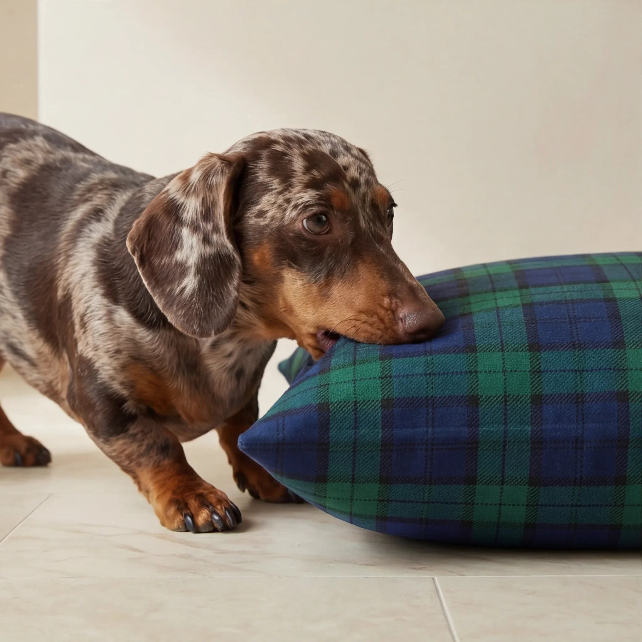 Funda para cama de mascota antimanchas Romo