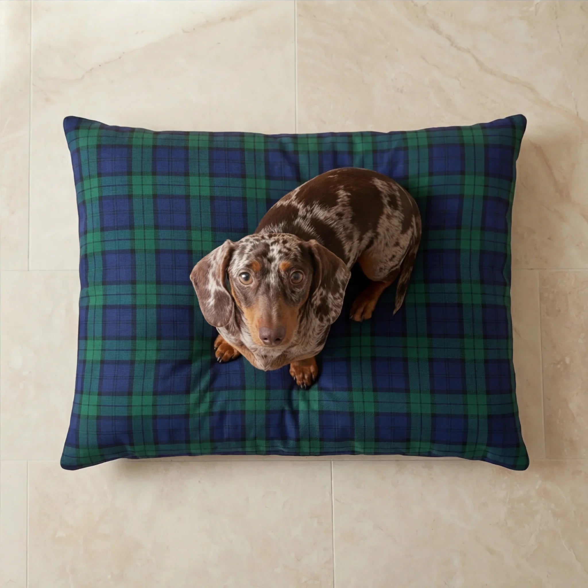Cama para mascotas desenfundable antimanchas Romo