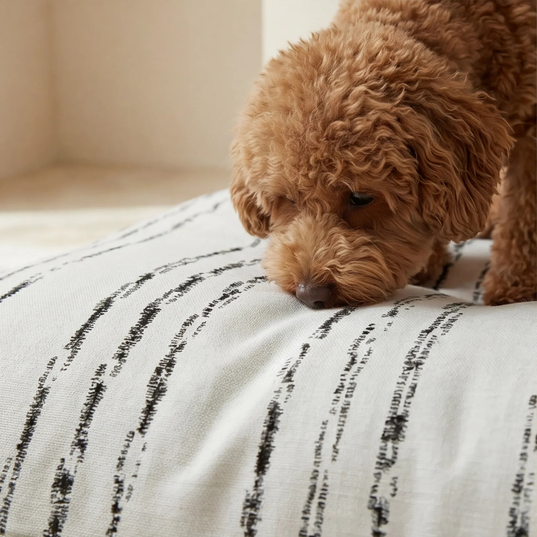 Cama para mascotas desenfundable antimanchas Rufus