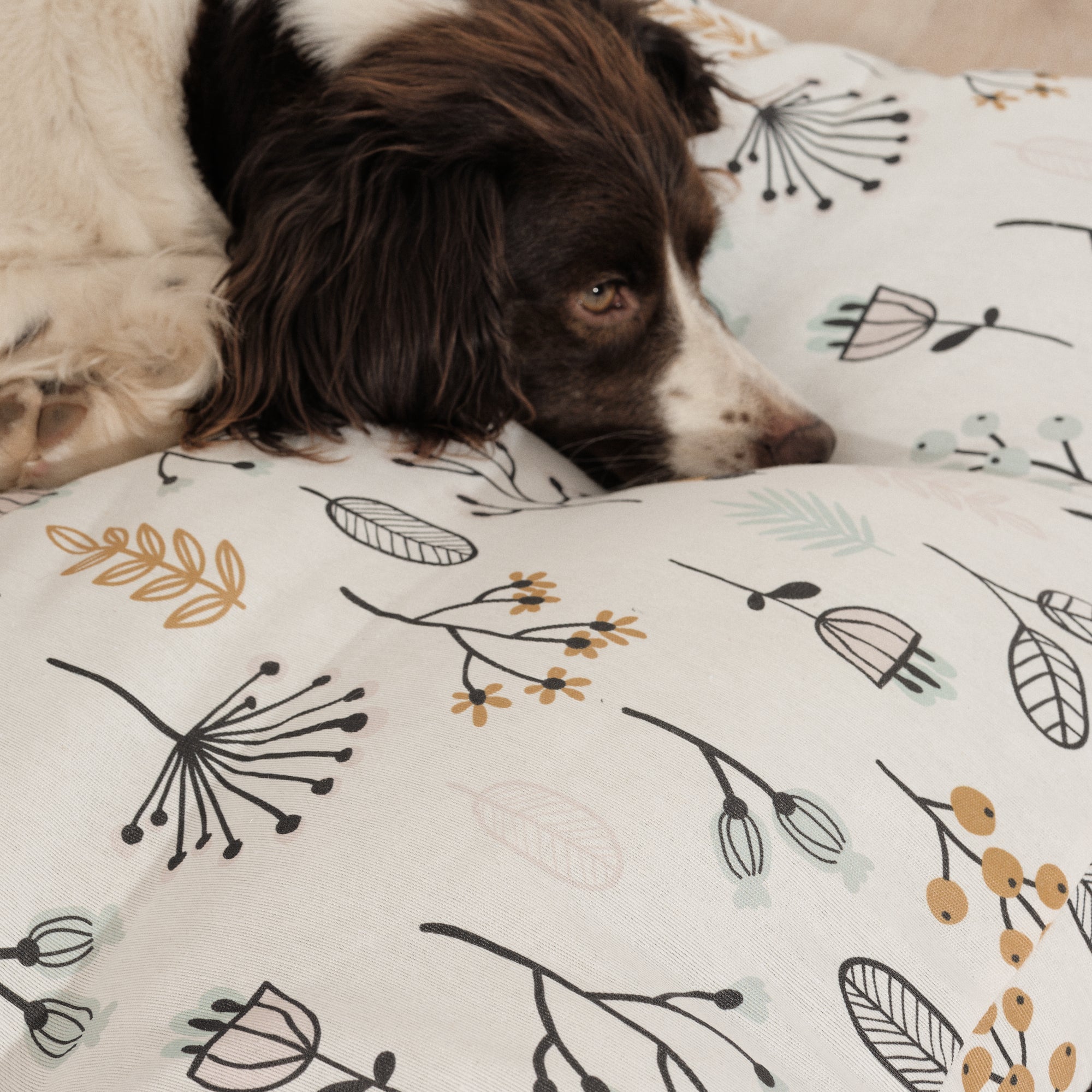 Cama para perros y gatos gruesa y acolchada 100% algodón antimanchas para mascotas Santorini Red