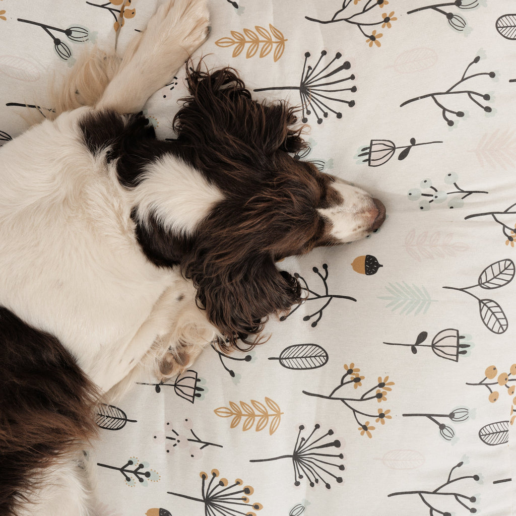 Cama para perros y gatos gruesa y acolchada 100% algodón antimanchas para mascotas Santorini Red