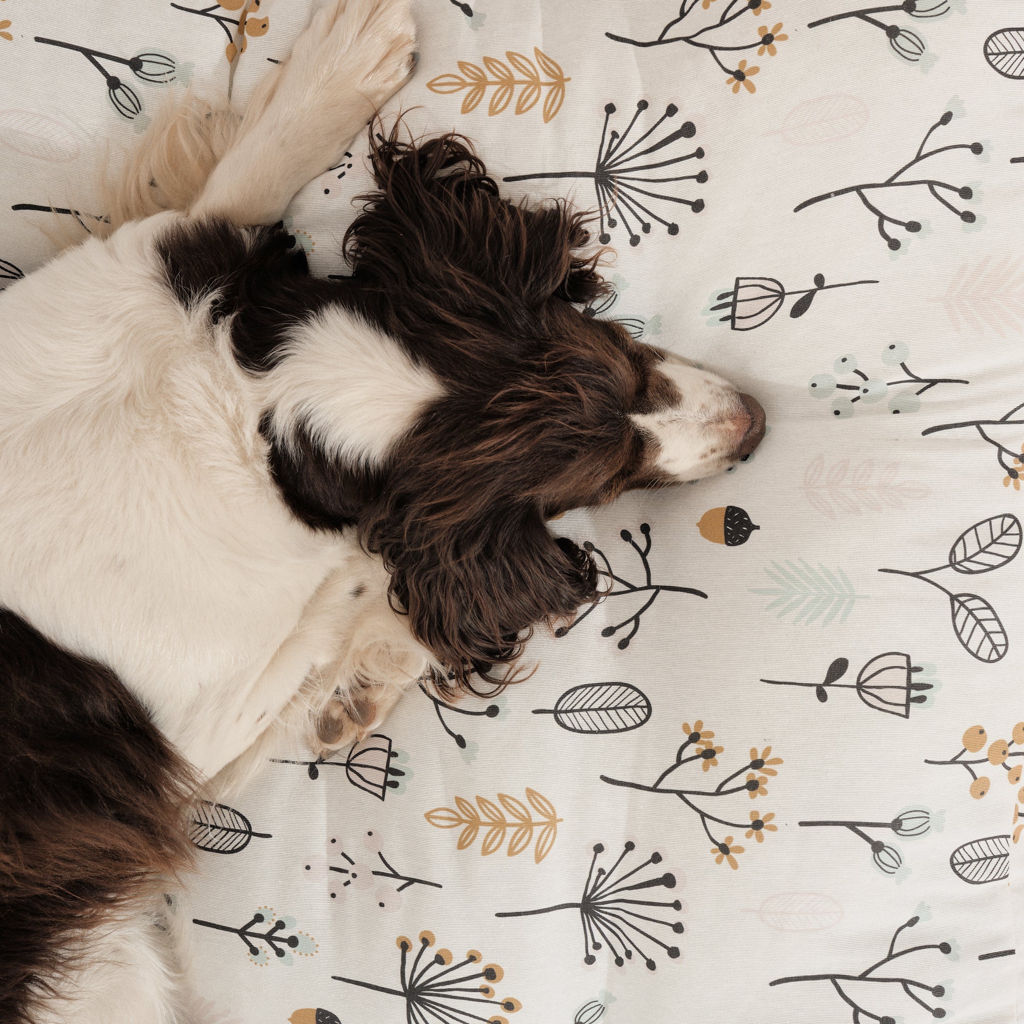 Cama para perros y gatos gruesa y acolchada 100% algodón antimanchas para mascotas Santorini Red