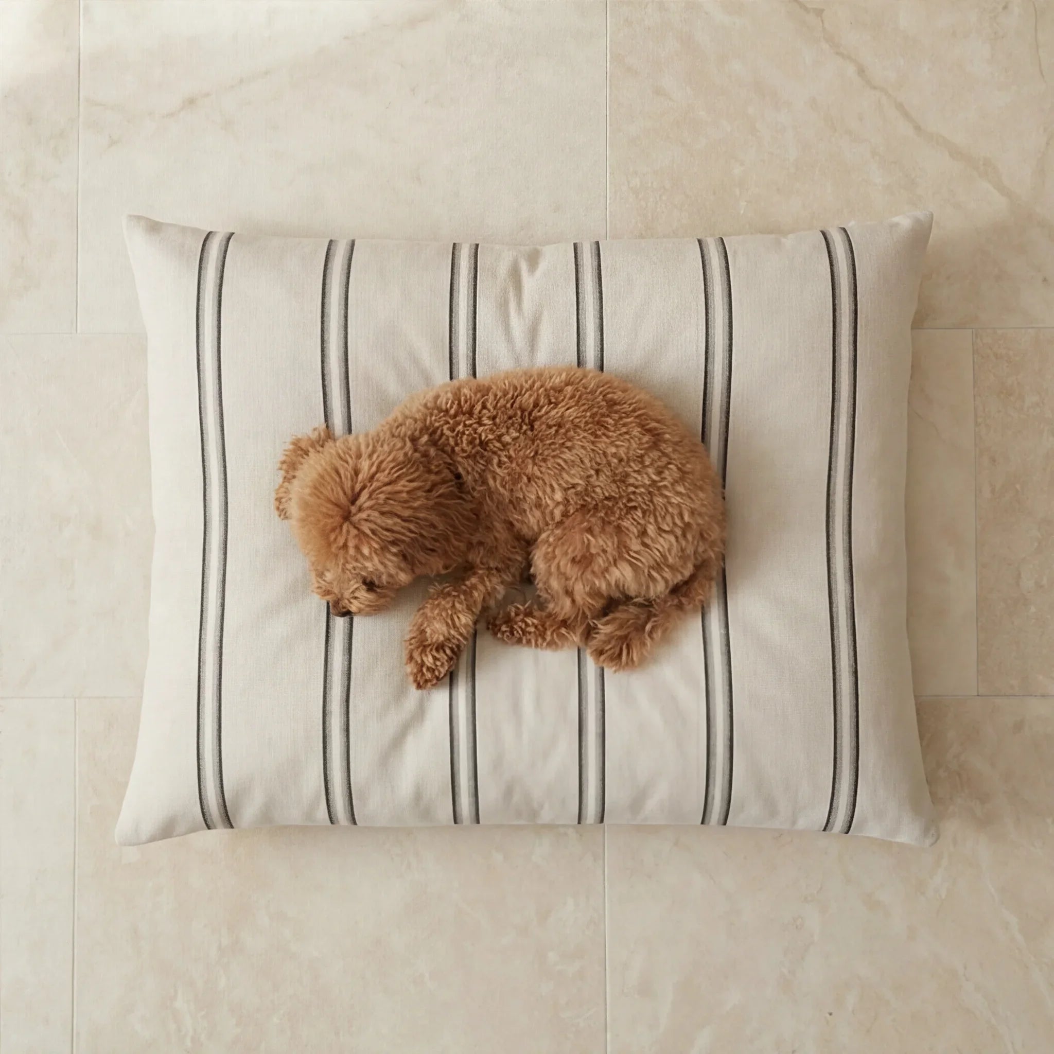 Cama para mascotas desenfundable antimanchas Sargaret