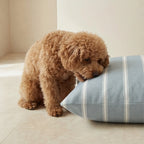 Funda para cama de mascota antimanchas Scott Azul
