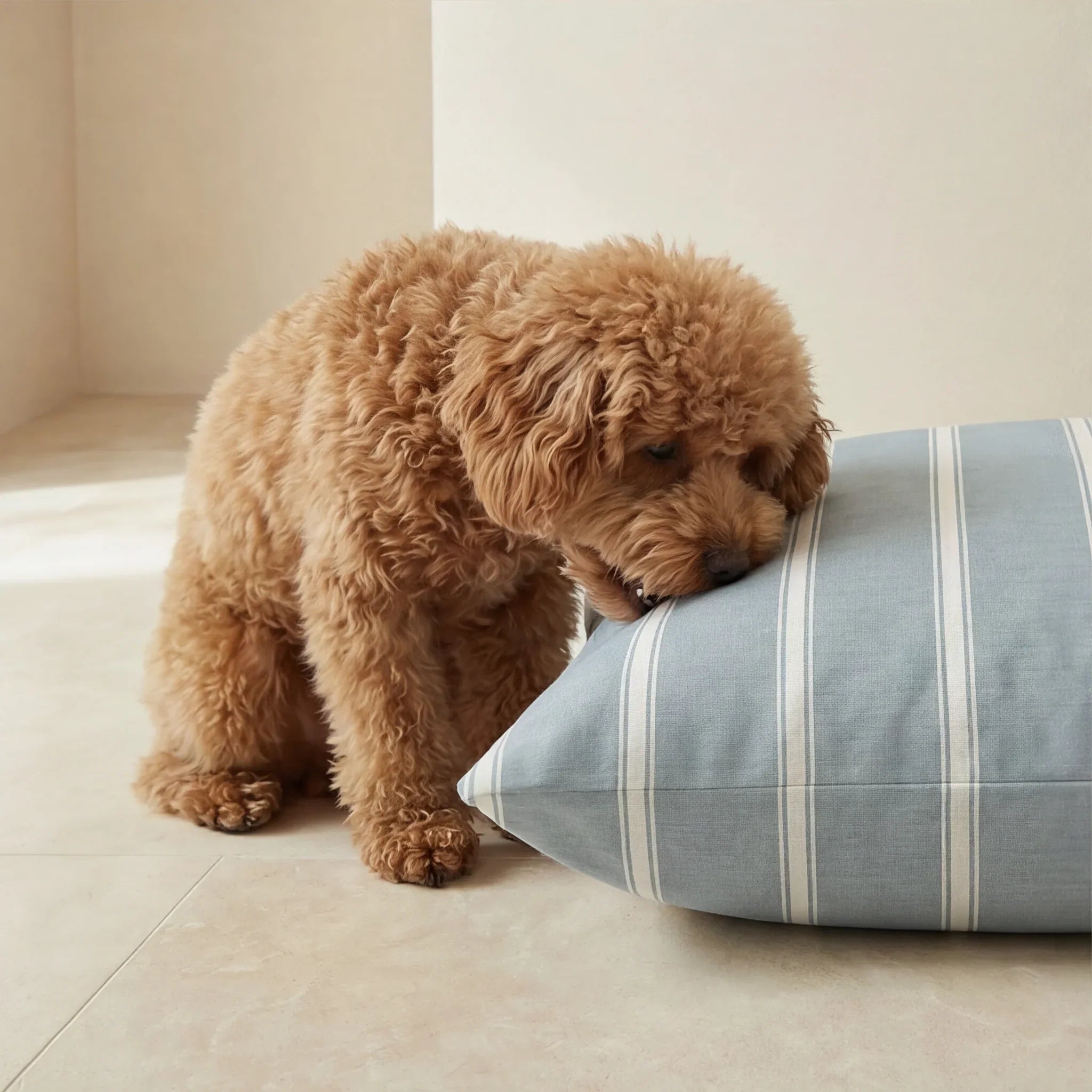 Funda para cama de mascota antimanchas Scott Azul