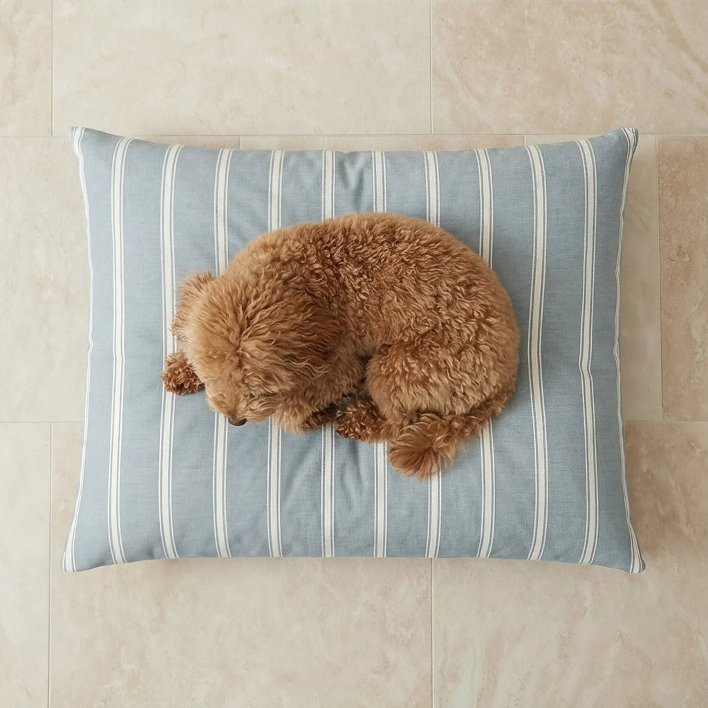 Cama para mascotas desenfundable antimanchas Scott Azul