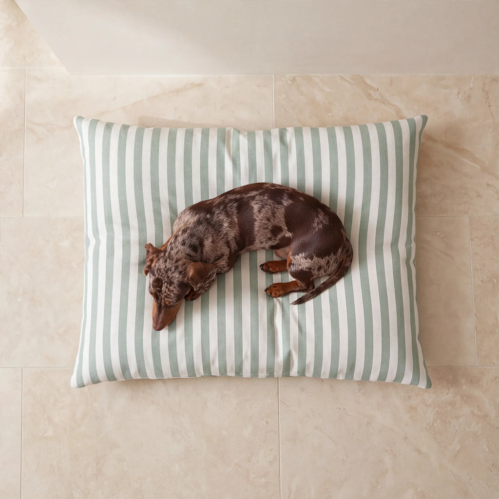 Cama para mascotas desenfundable antimanchas Seleni Verde