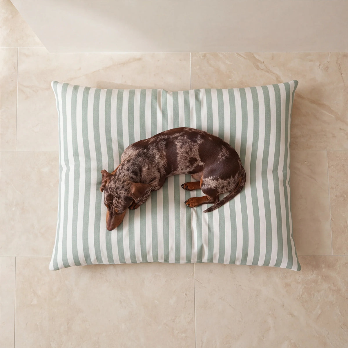Cama para mascotas desenfundable antimanchas Seleni Verde