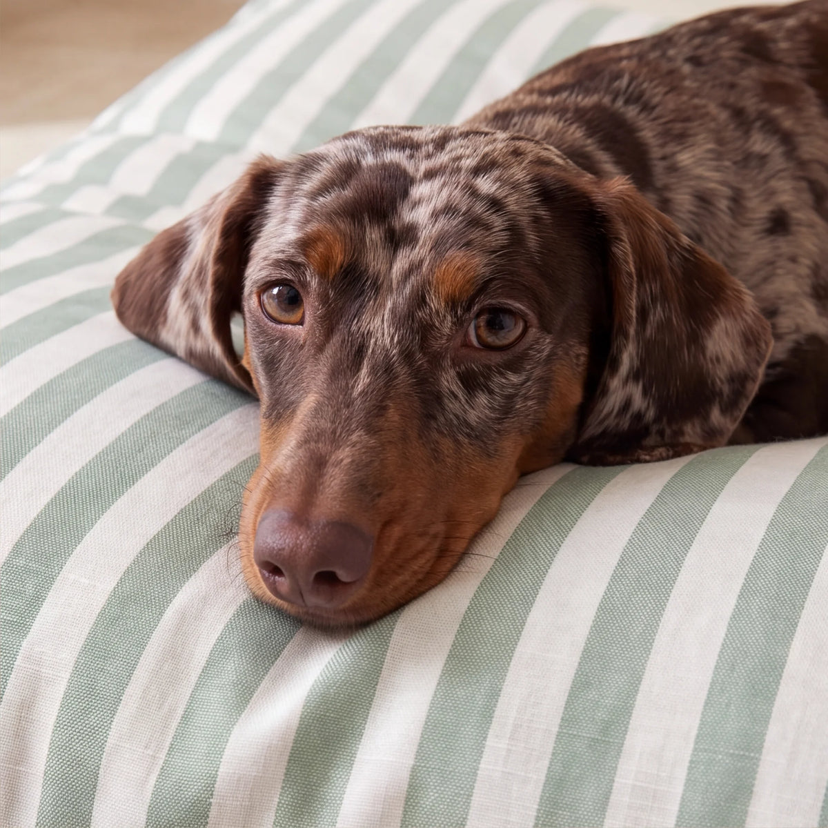 Cama para mascotas desenfundable antimanchas Seleni Verde