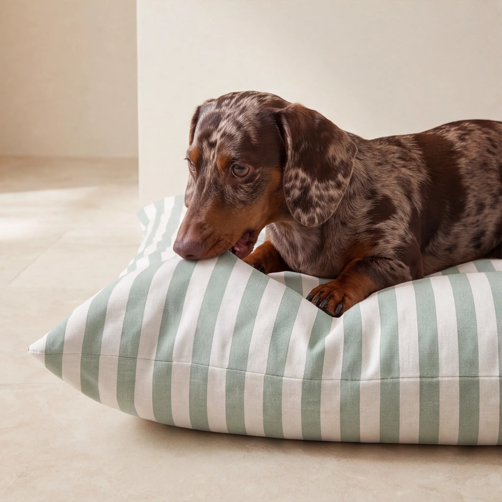 Cama para mascotas desenfundable antimanchas Seleni Verde