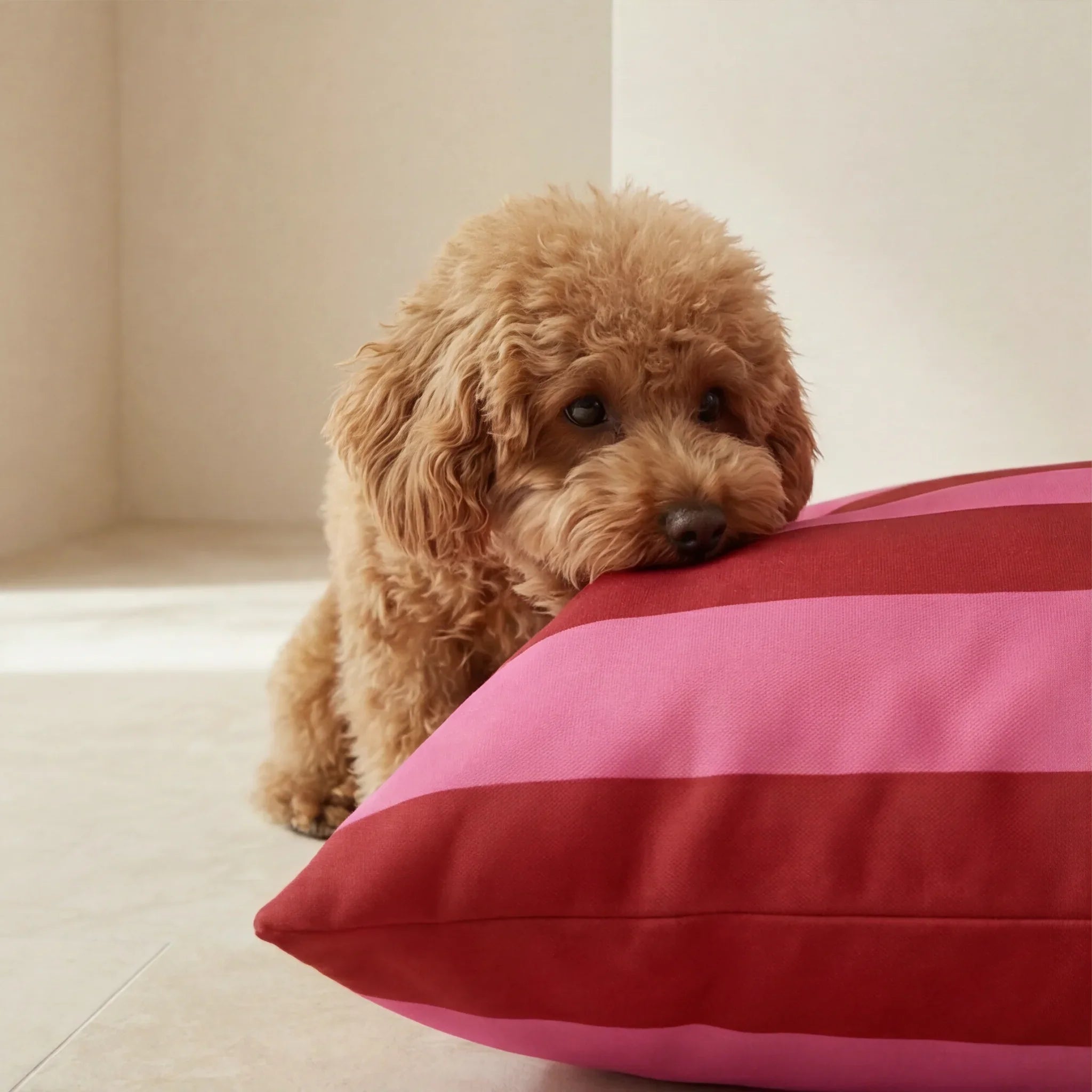 Letto per animali domestici sfoderabile antimacchia Summer Stripes