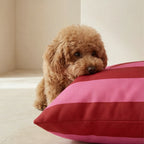 Funda para cama de mascota antimanchas Summer Stripes