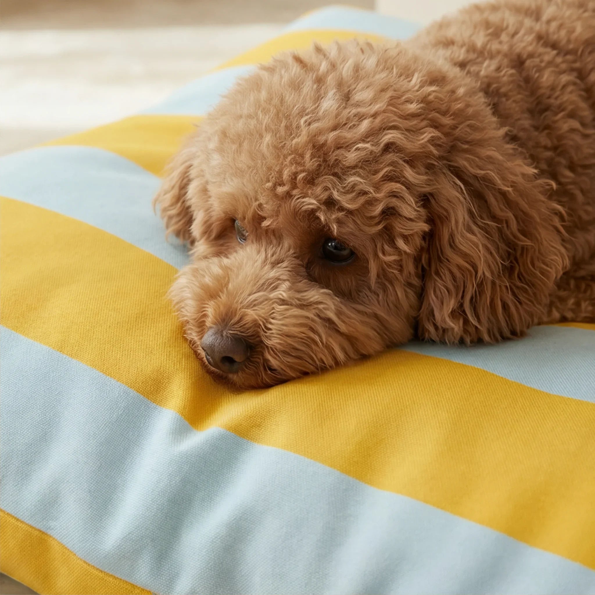 Letto per animali domestici sfoderabile antimacchia Summer Stripes 2