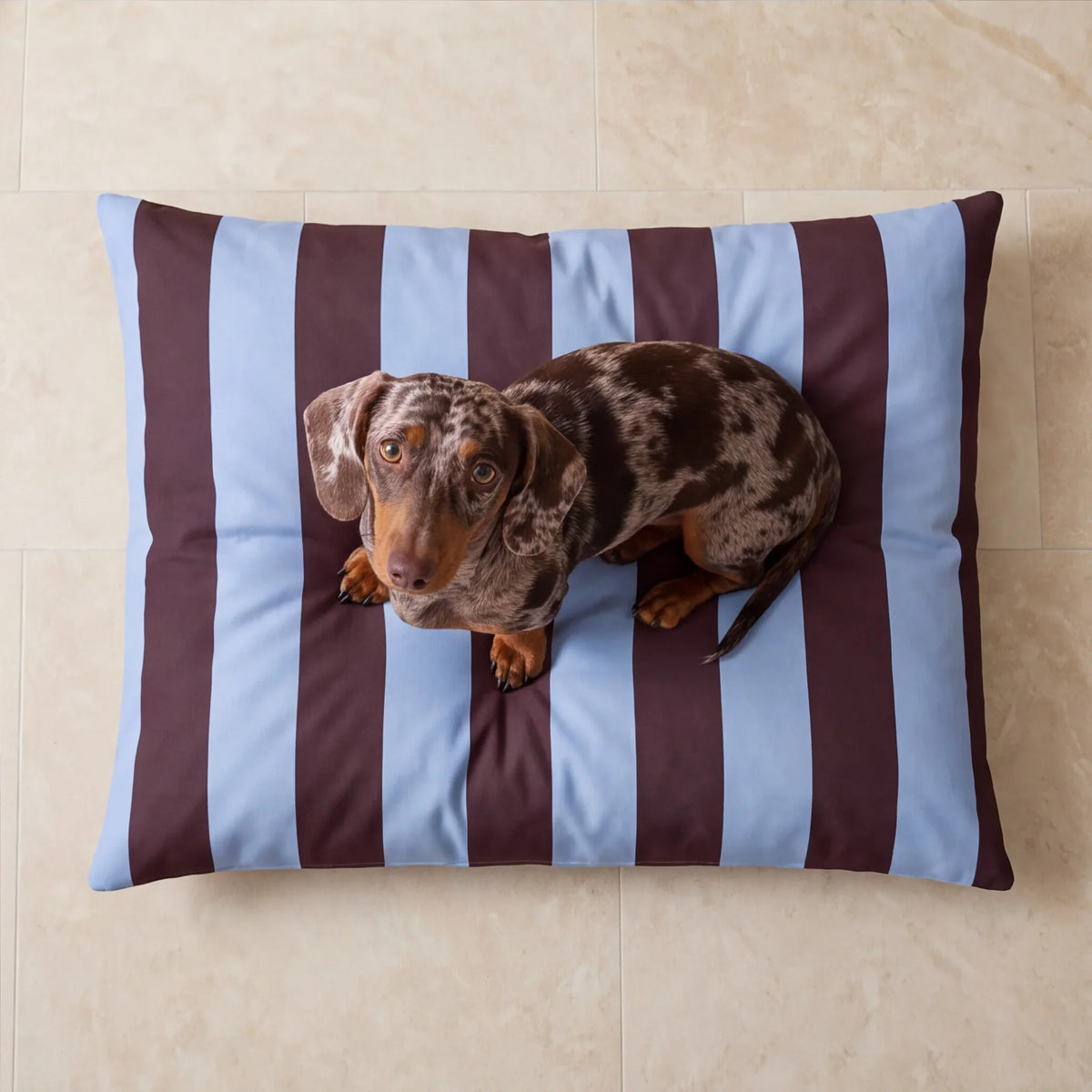 Cama para mascotas desenfundable antimanchas Romani Choco