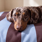 Funda para cama de mascota antimanchas Romani Choco