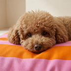 Cama para mascotas desenfundable antimanchas Summer Stripes 4