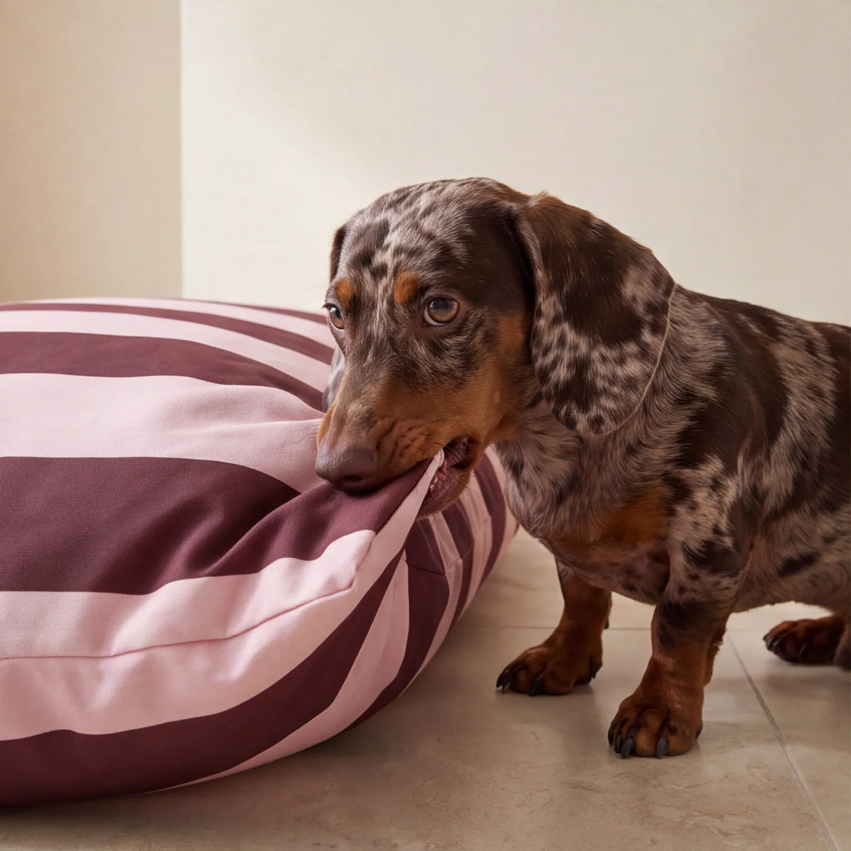 Funda para cama de mascota antimanchas Romani Chic