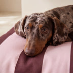 Cama para mascotas desenfundable antimanchas Romani Chic