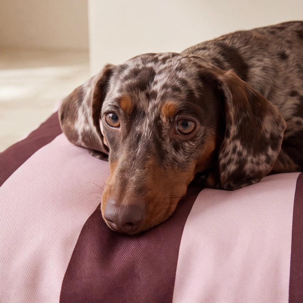 Funda para cama de mascota antimanchas Romani Chic